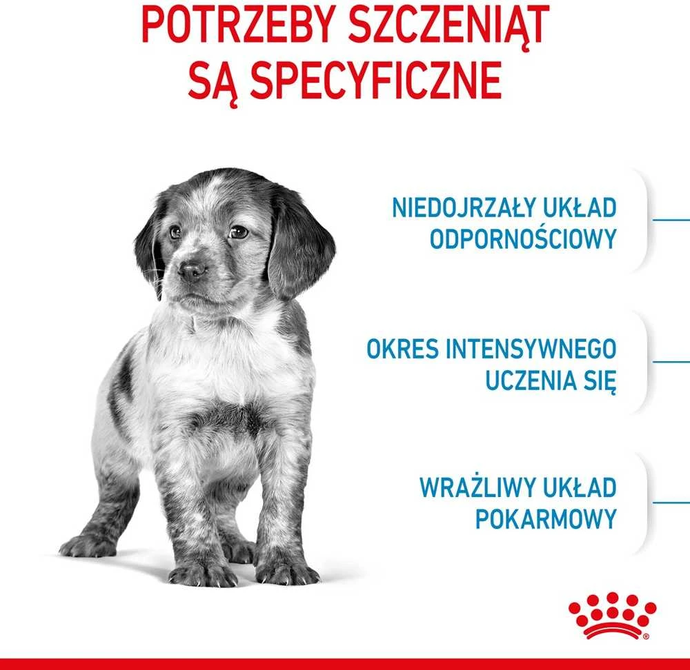 Royal Canin Medium Junior 15kg