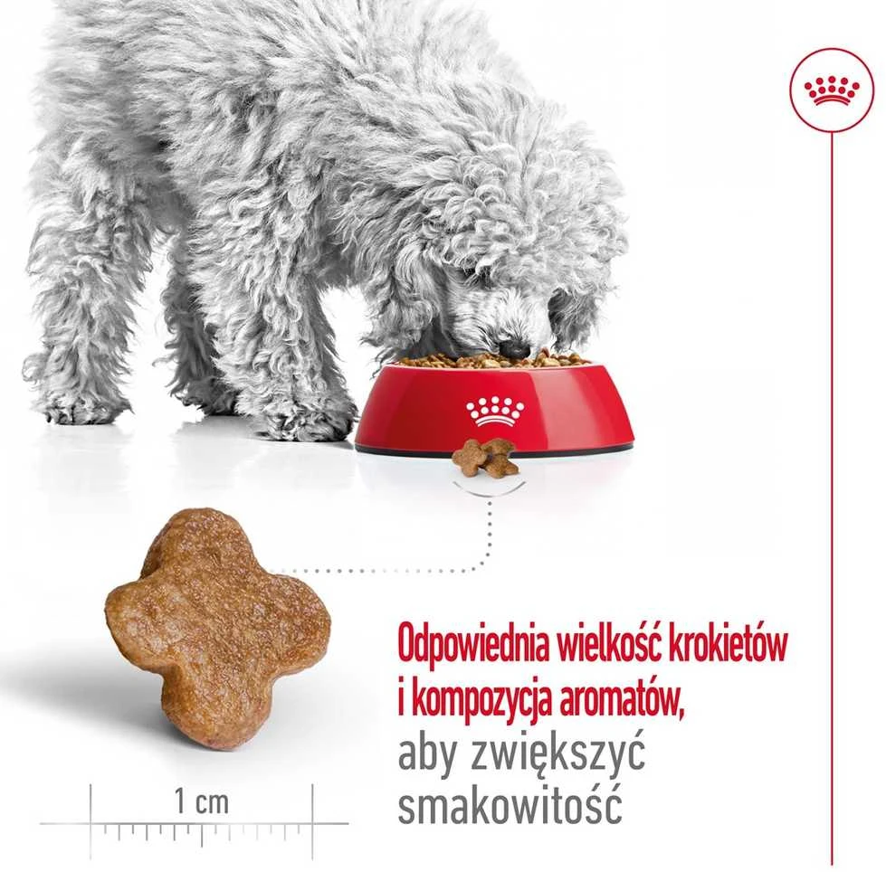 Royal canin shn mini adult 8+ - sausas maistas suaugusiam šuniui - 8kg
