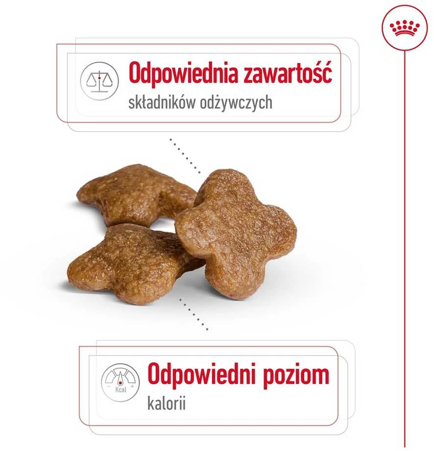 Royal canin shn mini adult 8+ - sausas maistas suaugusiam šuniui - 8kg