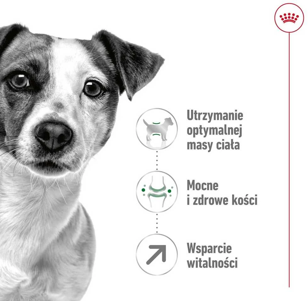 Royal canin shn mini adult 8+ - sausas maistas suaugusiam šuniui - 8kg