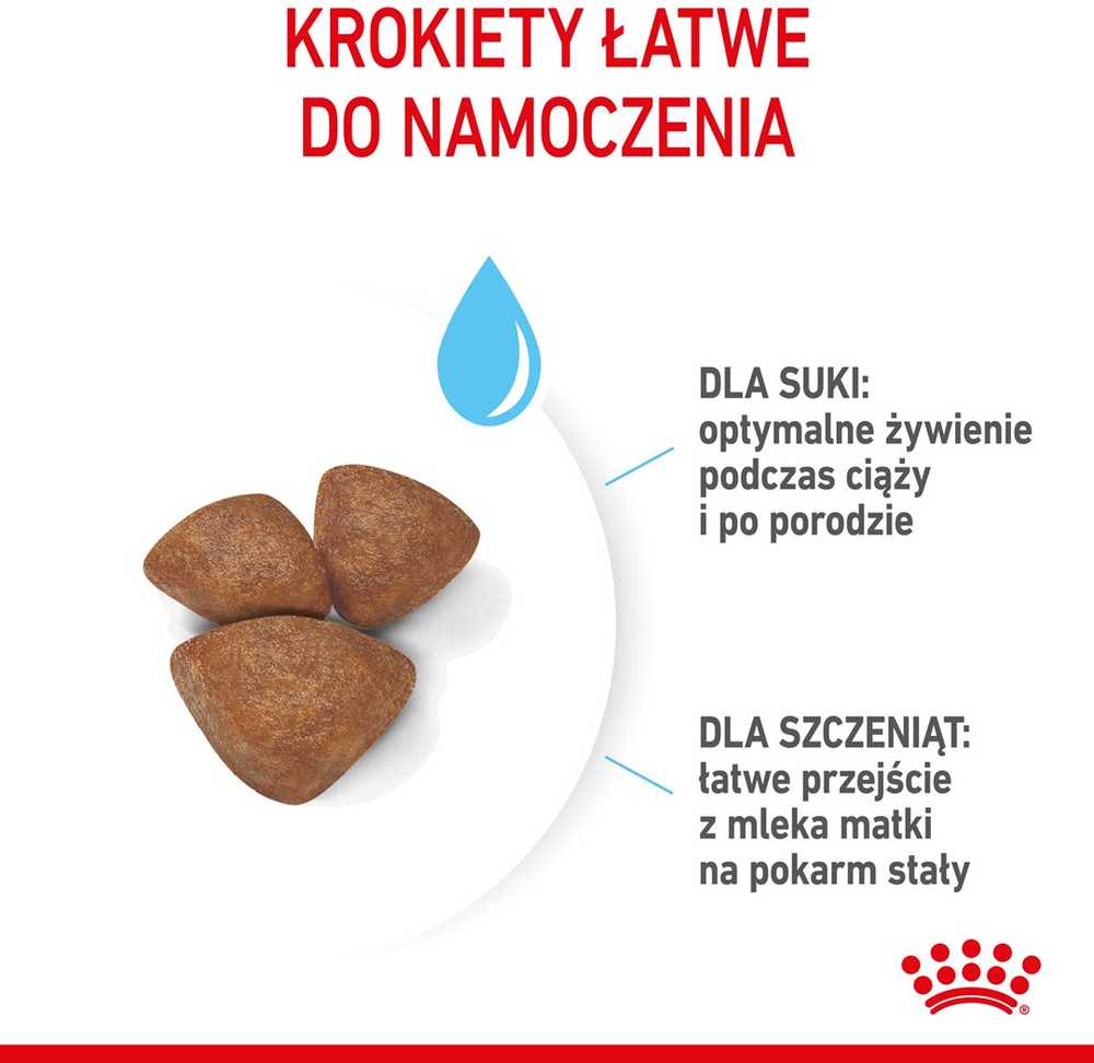Sausas Šunų Maistas - Royal Canin Shn Mini Starter Mama Ir Šuniukas 4kg