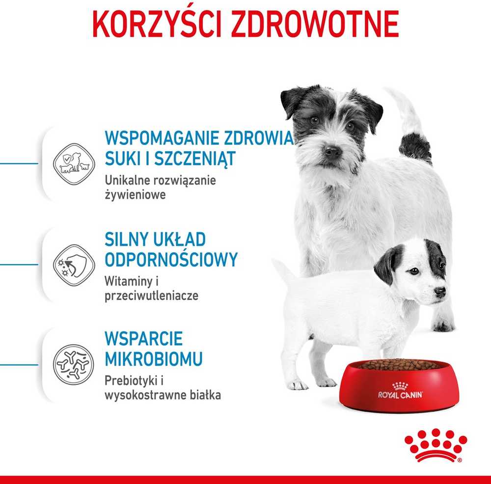 Sausas Šunų Maistas - Royal Canin Shn Mini Starter Mama Ir Šuniukas 4kg