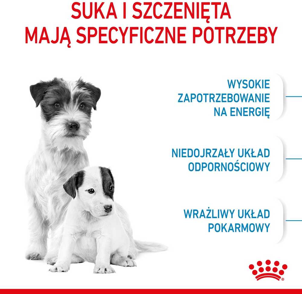Sausas Šunų Maistas - Royal Canin Shn Mini Starter Mama Ir Šuniukas 4kg