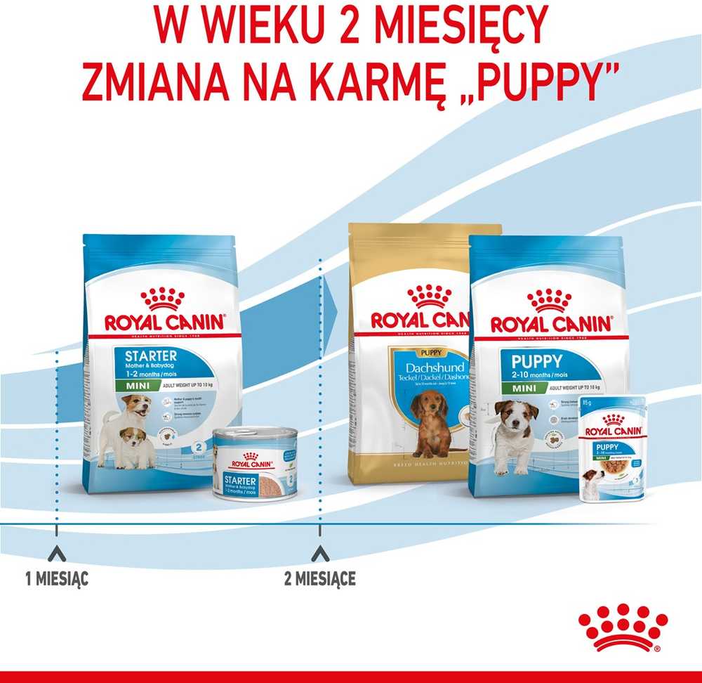 Sausas Šunų Maistas - Royal Canin Shn Mini Starter Mama Ir Šuniukas 4kg