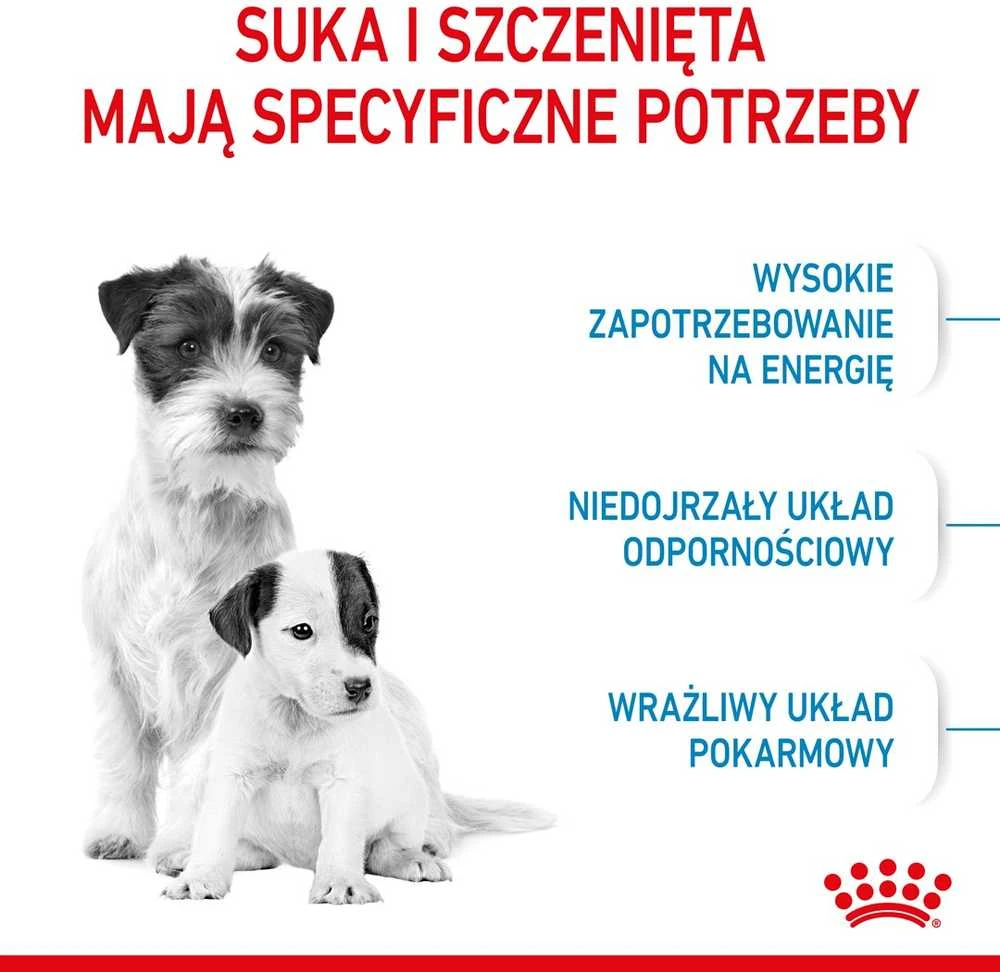 Royal Canin Mini Starter Mother & Babydog 1kg