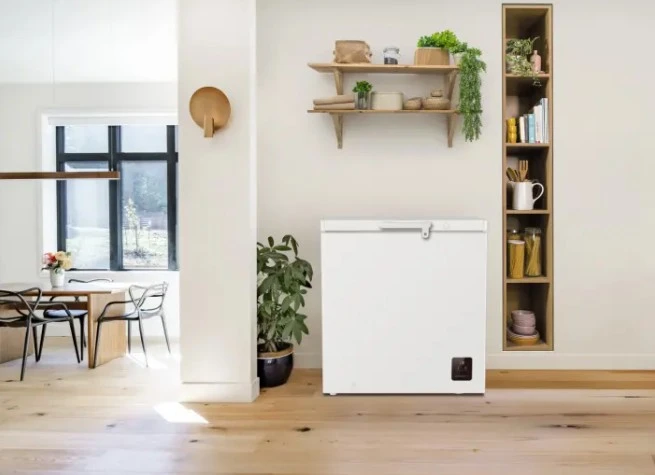 Šaldiklis Gorenje Šaldymo dėžė fh20e6w5