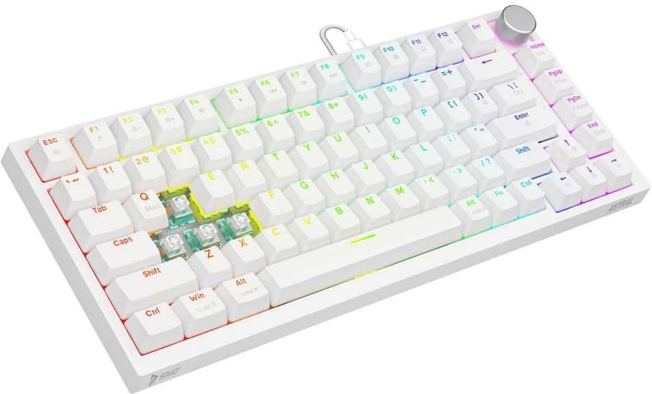 Savio ASTRAL Baltas JADE klaviatūra Gaming USB QWERTY US International