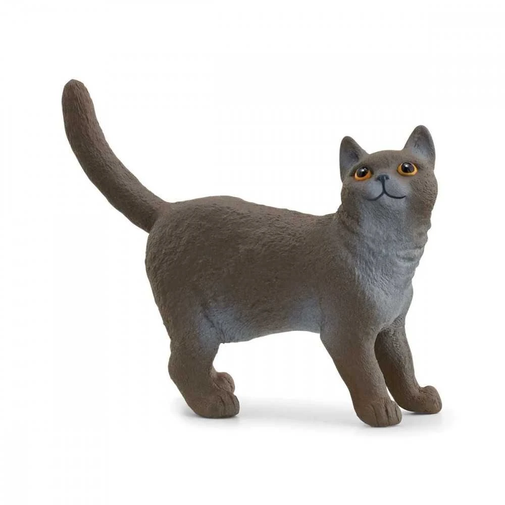 Schleich figūrėlė Britų trumpaplaukė katė