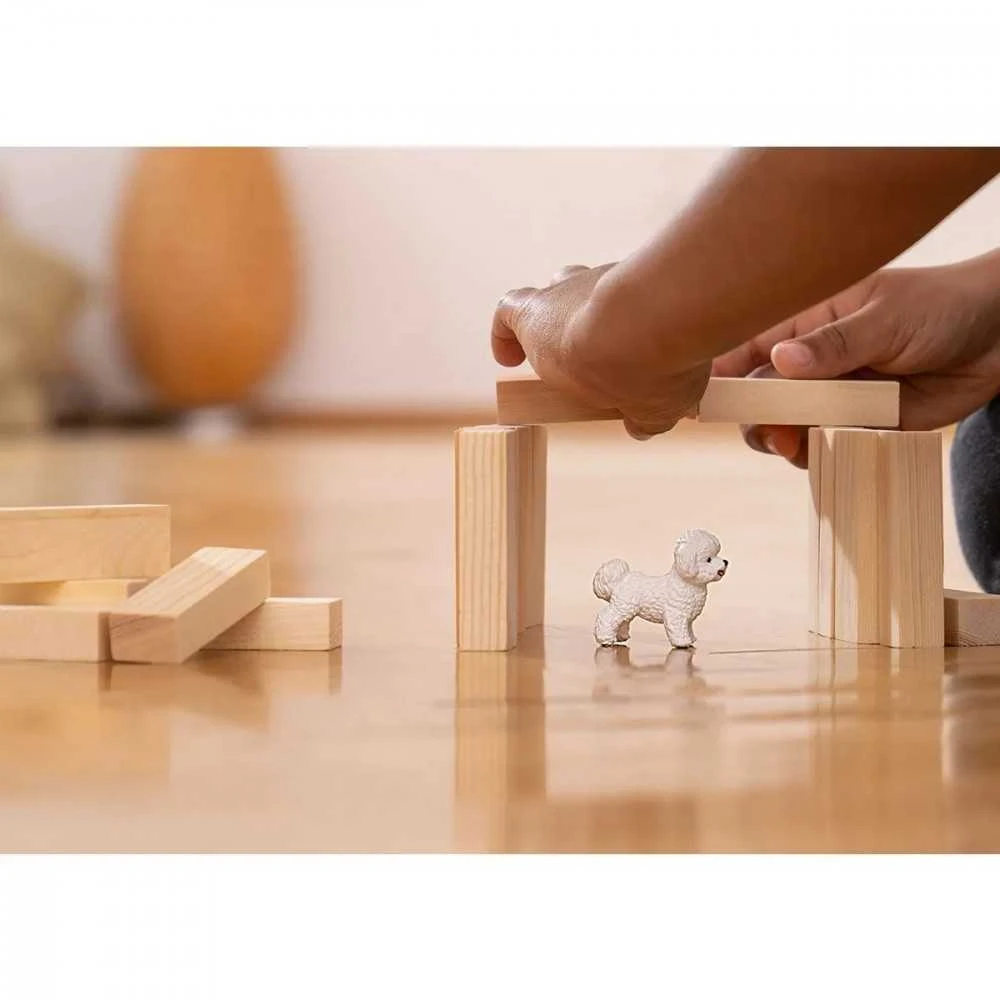 Schleich figūrėlė Garbanotasis bišonas