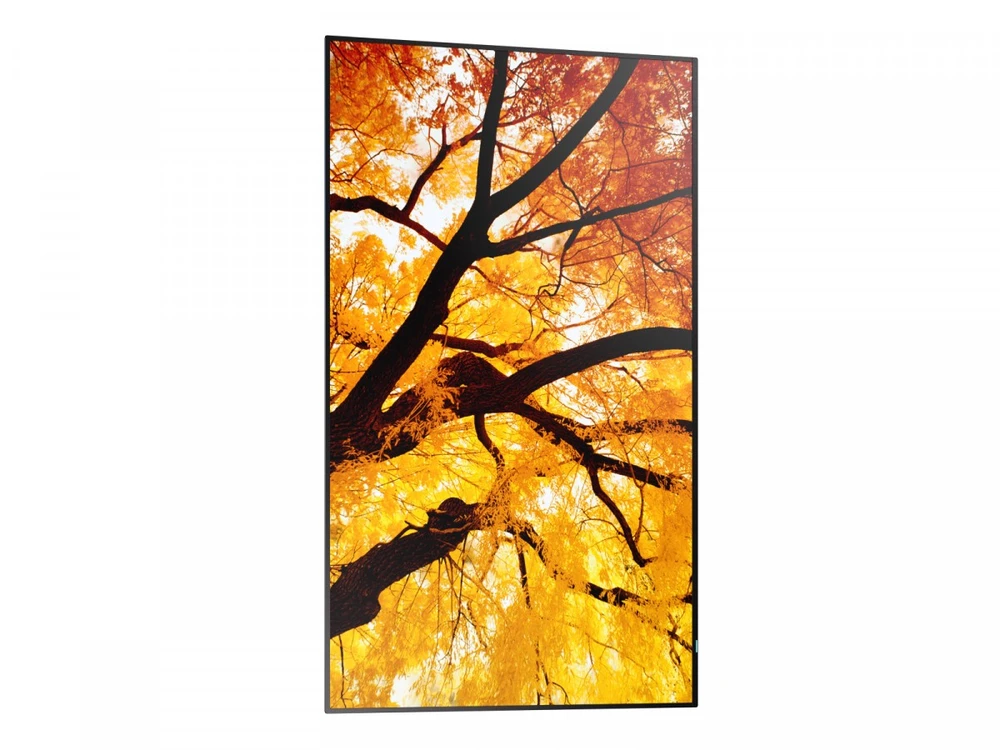 „Sharp MultiSync M652“ monitorius, plokščias, skaitmeninis reklaminis ekranas, 139,7 cm (55 colių), LCD, 550 cd/m², 4K, „Ultra HD“, juodas, jutiklinis ekranas