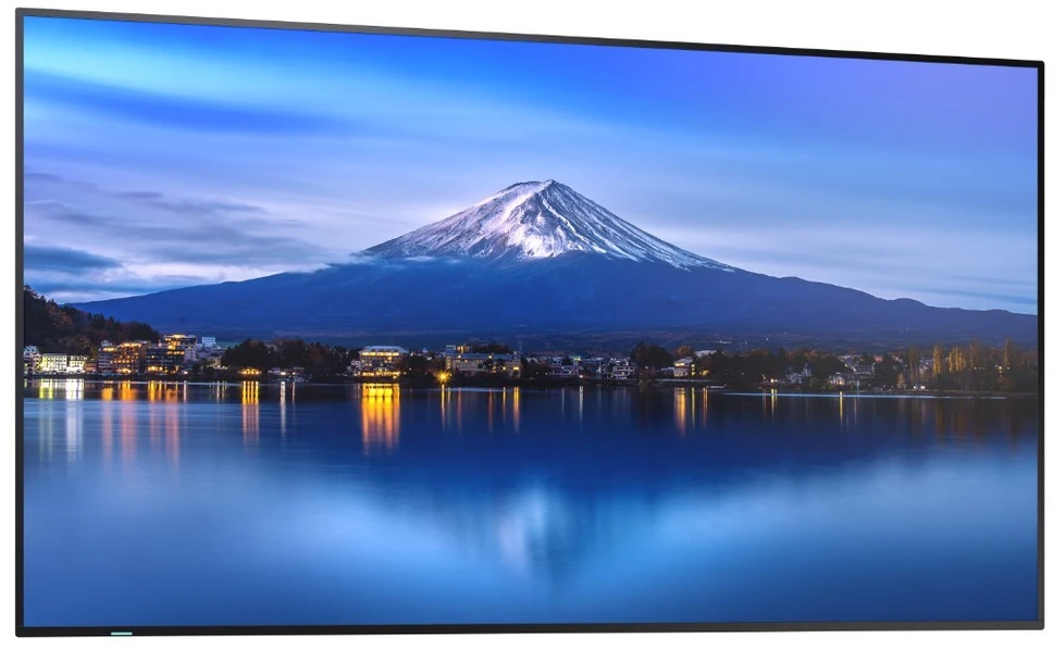 Monitorius Sharp P556 (60005916)