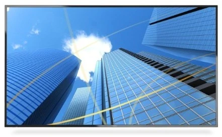 Monitorius Sharp P506