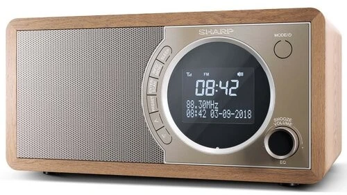 Sharp DR-450(BR) radijo imtuvas Laikrodis Ruda