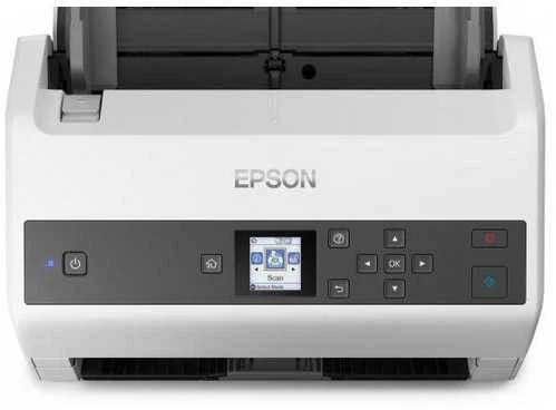 Skeneris Epson WF ds-870 a4 / a3 skaitytuvas (su adata) adf100/130ipm/usb3.0