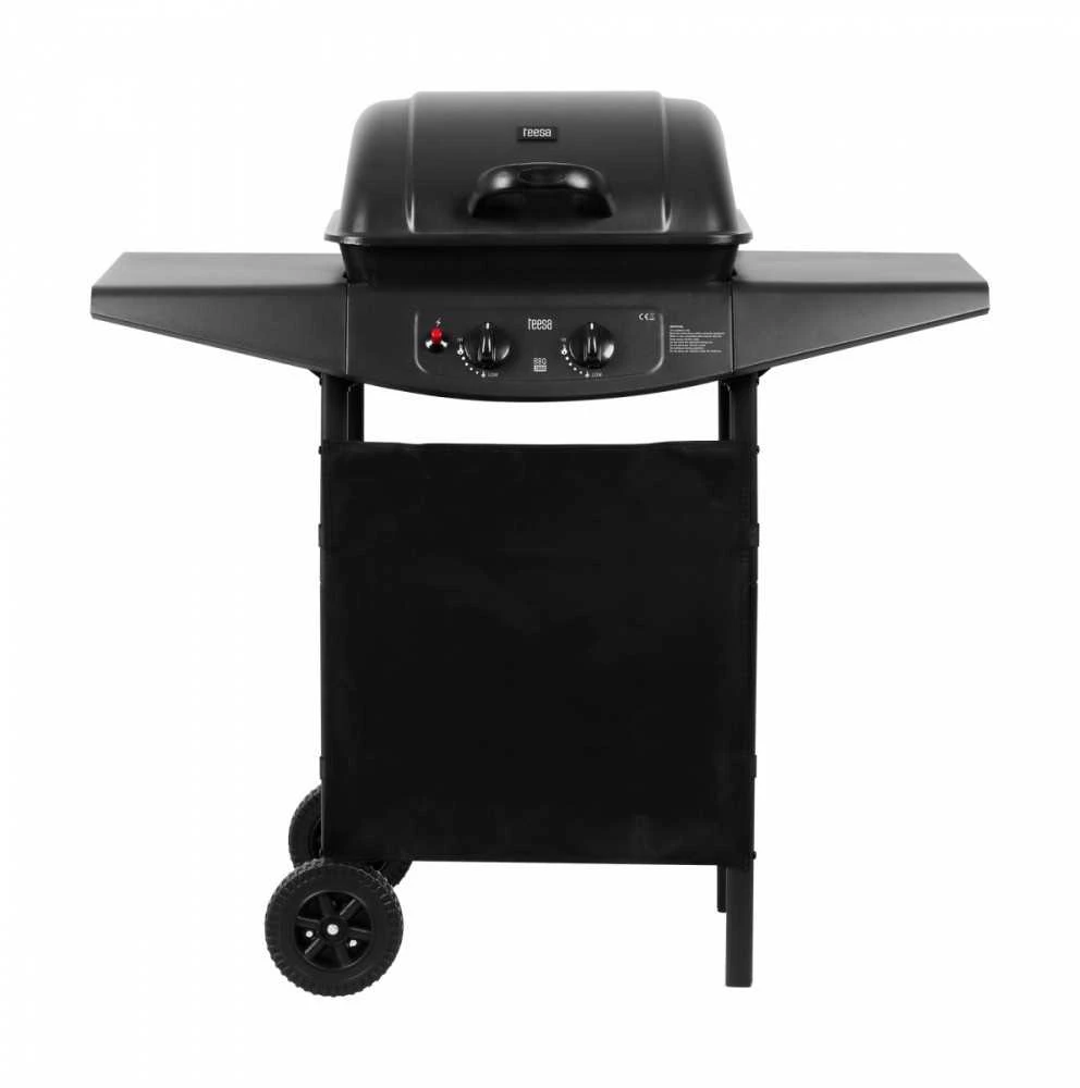 Teesa dujinis grilis bbq 2000 - 2 degikliai