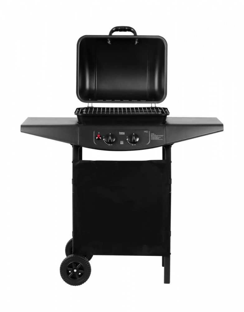 Teesa dujinis grilis bbq 2000 - 2 degikliai