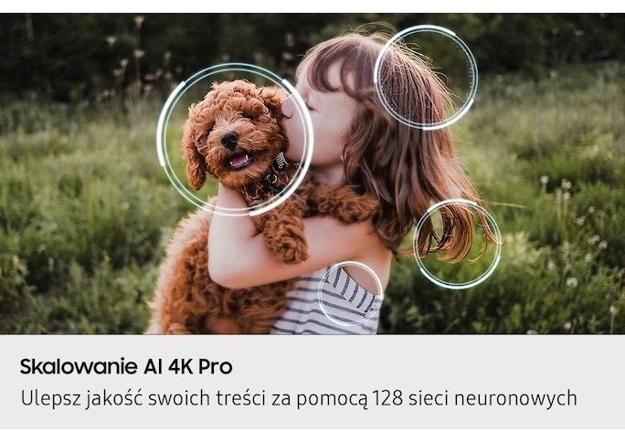 Televizorius Samsung QE77S90FAEXXH