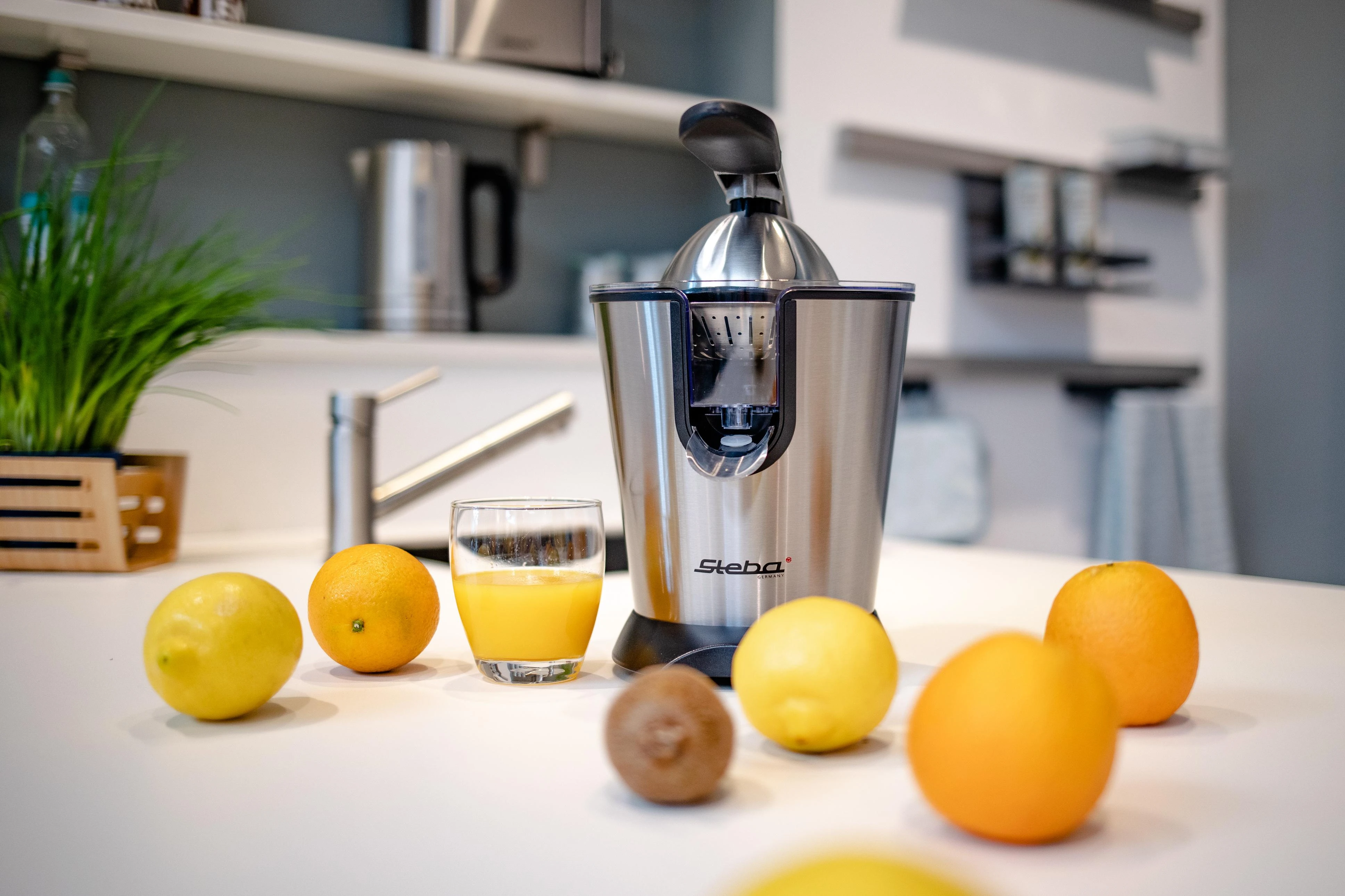 Tradicinė sulčiaspaudė citrusiniams vaisiams Steba ZP 2 (160W, plieno spalvos)