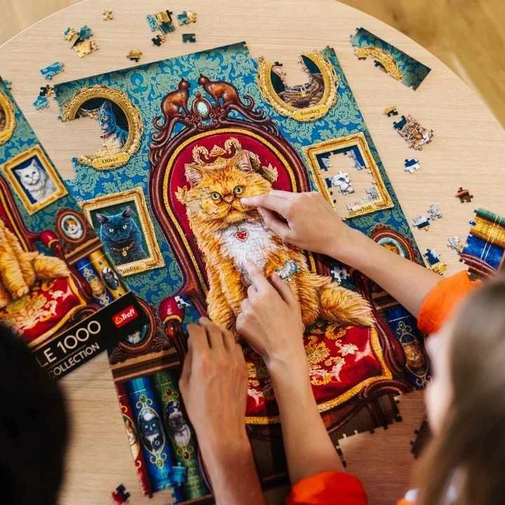Trefl Dėlionė 1000 vnt. - Katinas