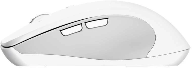 Trust 25674 pelė Universal Ambidextrous Bluetooth 3200 DPI