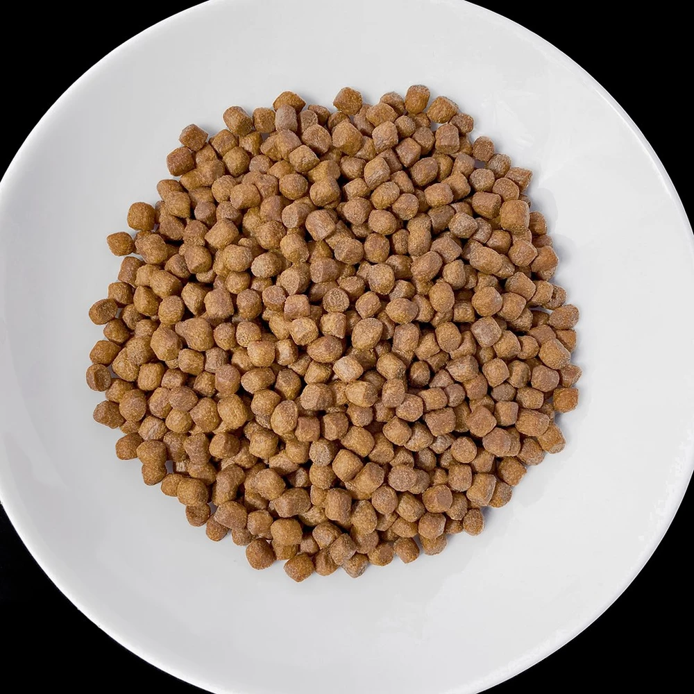VET RESPONSE Renal – sausas Maistas šunims – 8kg