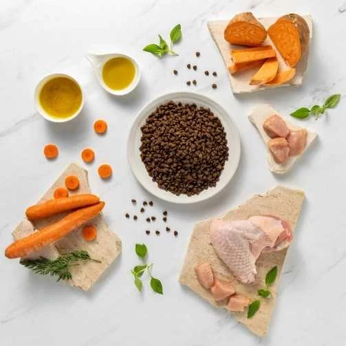 Vetexpert Šunų Maistas - RAW PALEO Ultra Mini Kalakutiena 2kg Be Grūdų