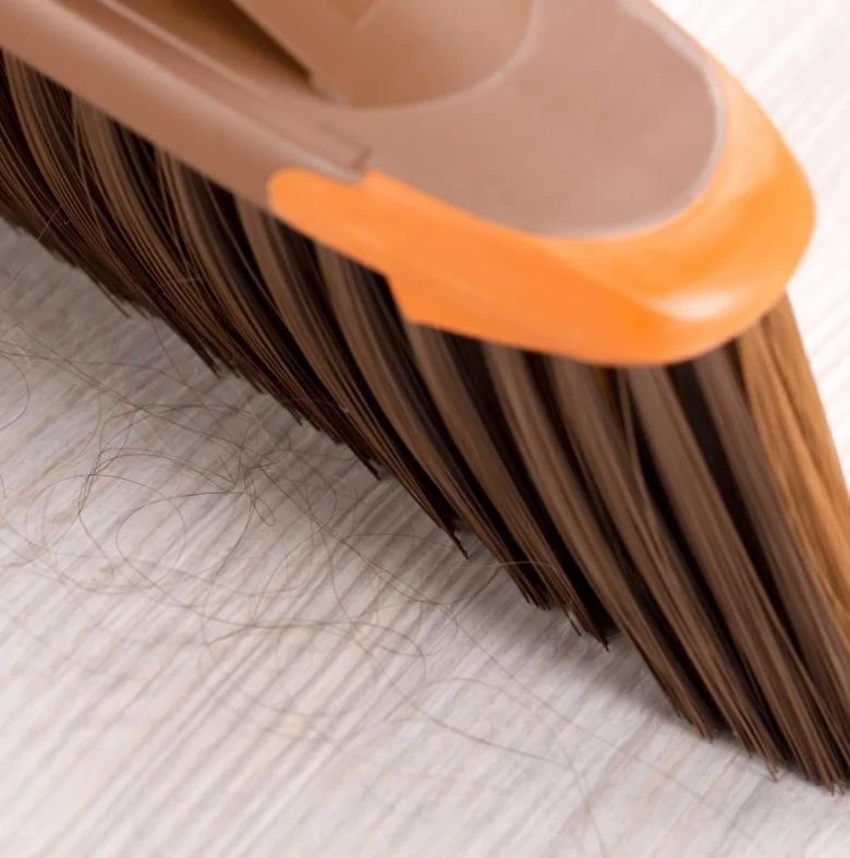 Šepetys Vileda 2in1 Parquet 136082