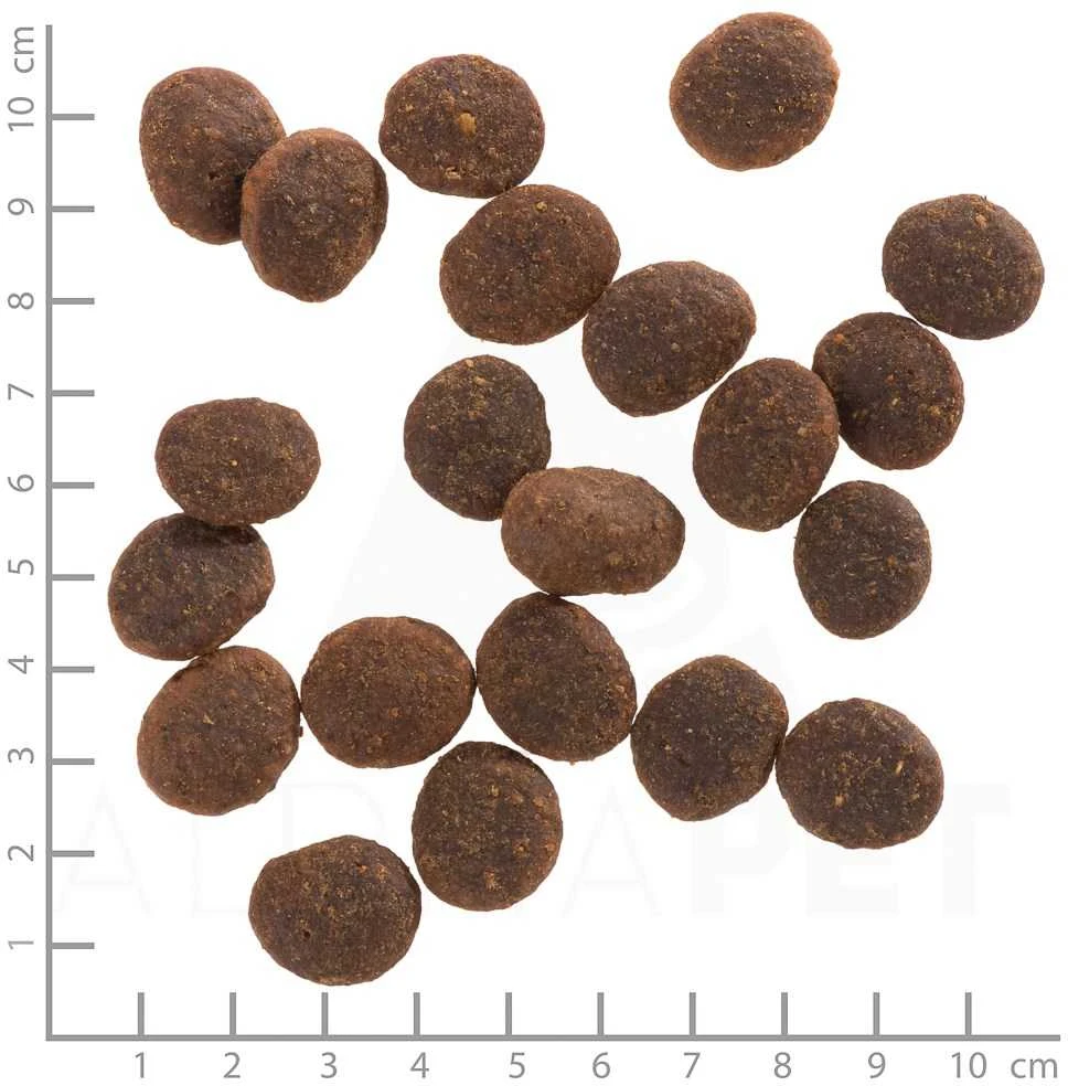 Wolfsblut - Šunų ėdalas - Juodosios pelkės - 12,5kg. - Su vandens buivolais