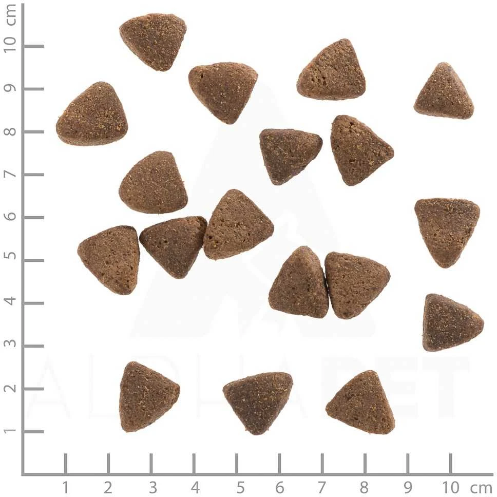 WOLFSBLUT Wide Plain Light Horse with sweet potatoes – sausas Maistas šunims – 12,5kg