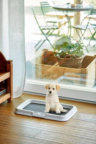 Stefanplast Toilet Puppy Training Set šunų tualetas su stulpeliu 60x40x4cm
