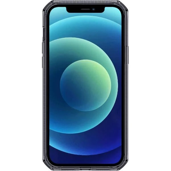 Dėklas ITSKINS Spectrum Clear Apple iPhone 12 mini Smoke