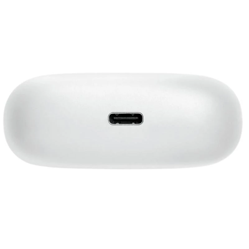 JBL Wave 200 TWS dėklas su USB-C jungtimi