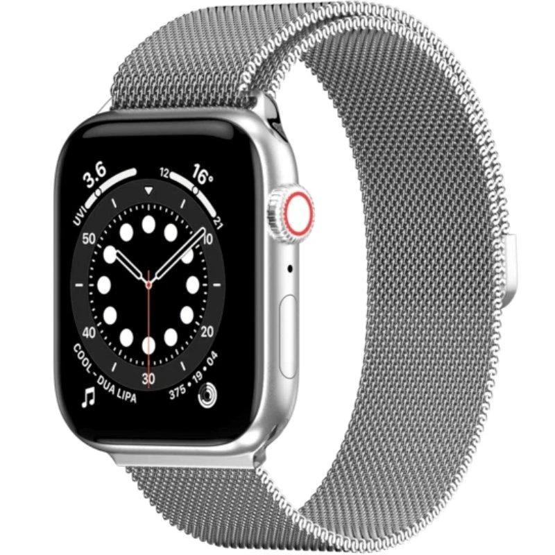 Išmaniojo laikrodžio dirželis SwitchEasy Mesh skirtas Apple Watch 42/44/45 mm, sidabrinis