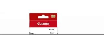 CANON PGI-520 juodos spalvos rašalinė