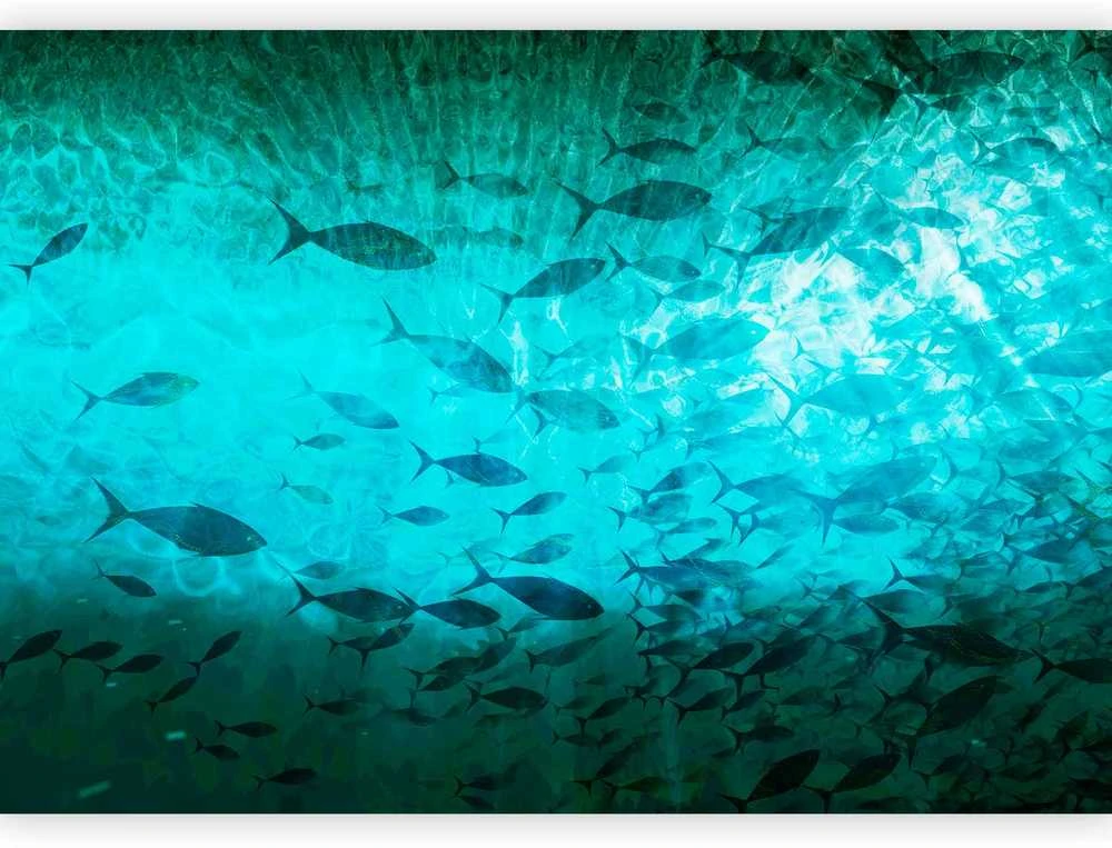 Artgeist Fototapetas - A shoal of dark fish