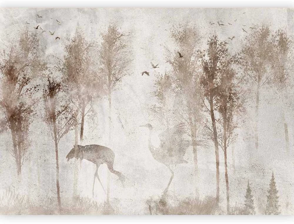 Artgeist Fototapetas - Among the trees - landscape in pilkas tones in fog in a clearing with birds