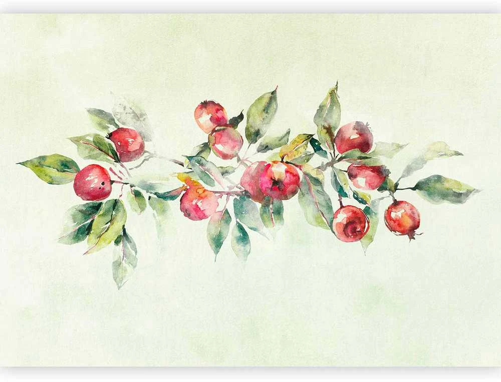 Artgeist Fototapetas - Apple branch - delicate landscape with a plant and apples on a baltas background