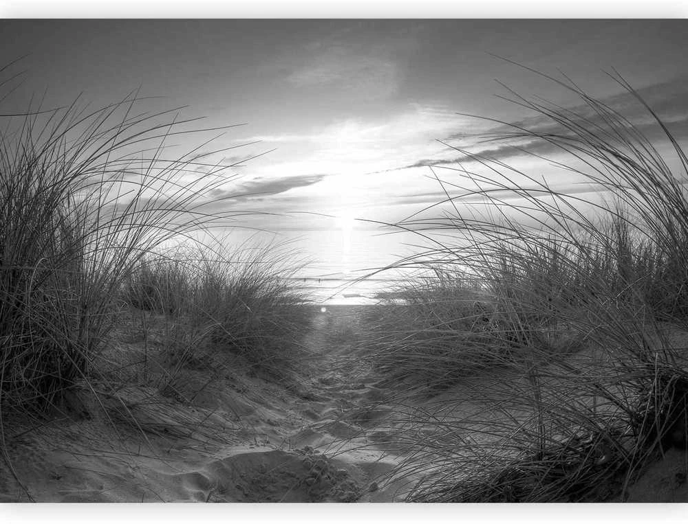 Artgeist Fototapetas - beach (juodas and baltas)