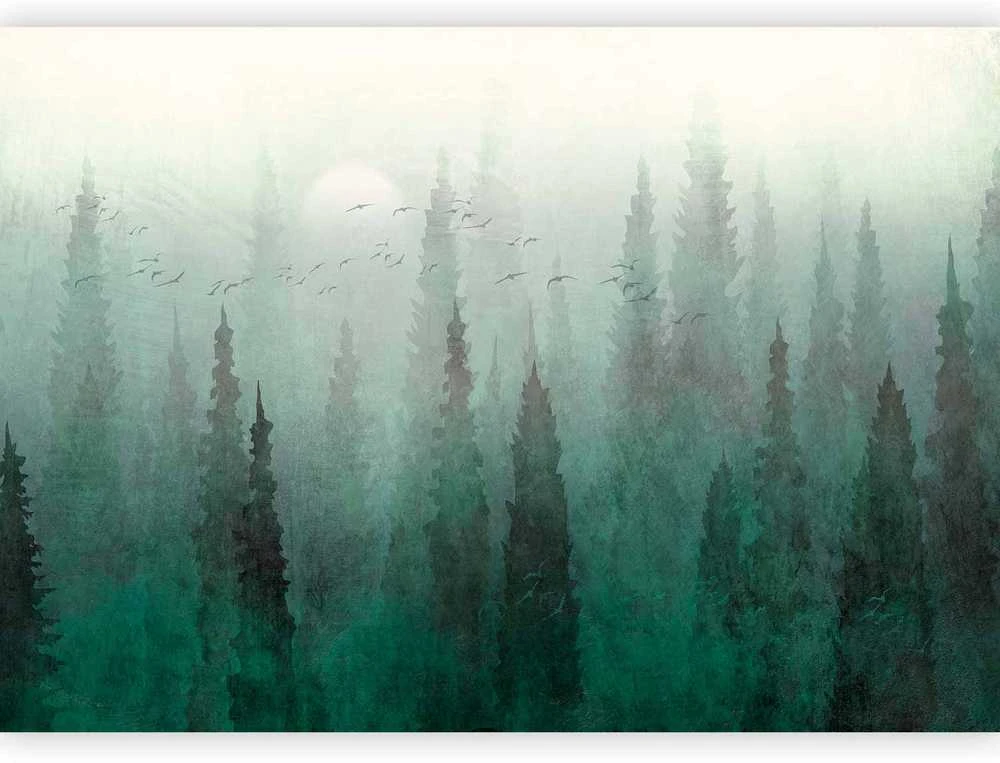 Artgeist Fototapetas - Bird's eye perspective - landscape of a žalias forest with trees in the mist