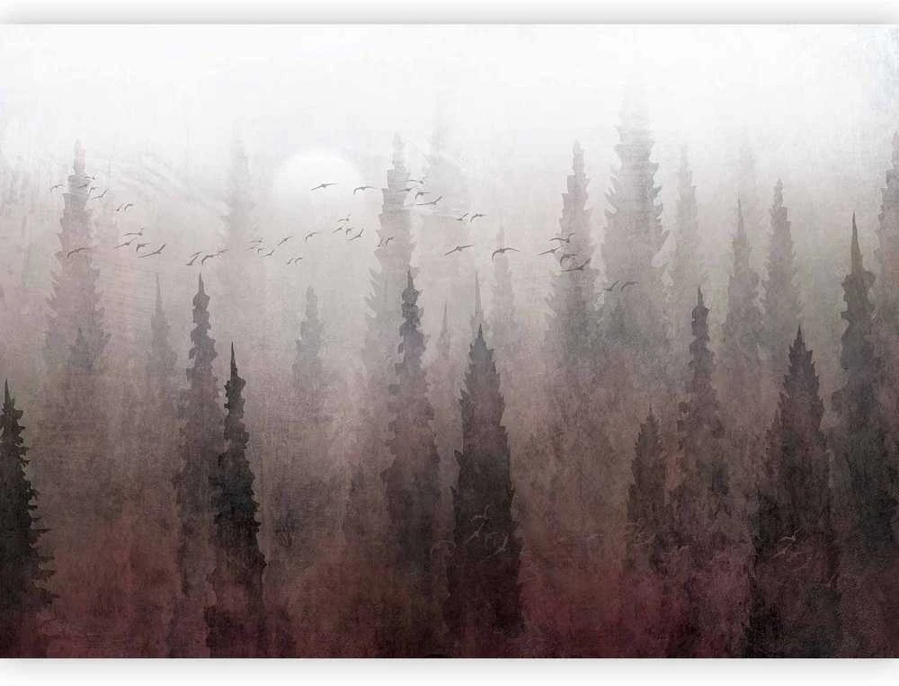 Artgeist Fototapetas - Bird's flight over treetops - landscape of a dark forest in fog