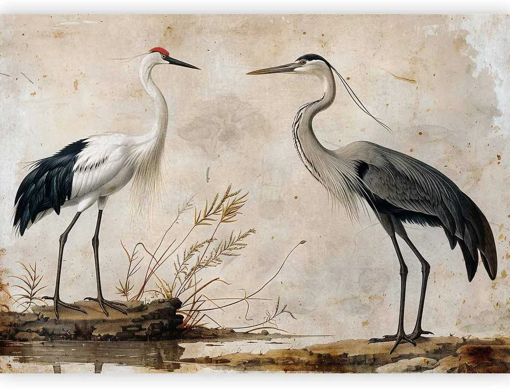 Artgeist Fototapetas - Birds from an old engraving - vintage-style illustration depicting a heron and a crane