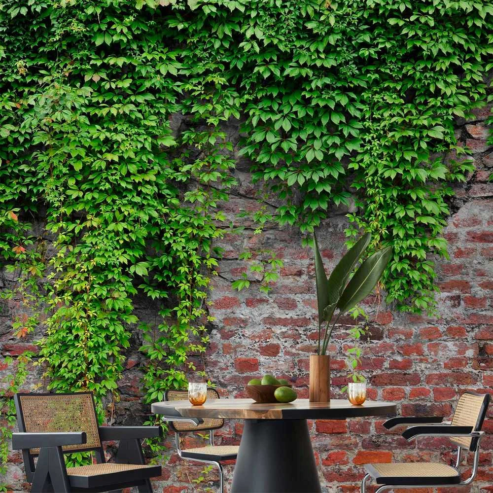 Artgeist Fototapetas - Brick and ivy