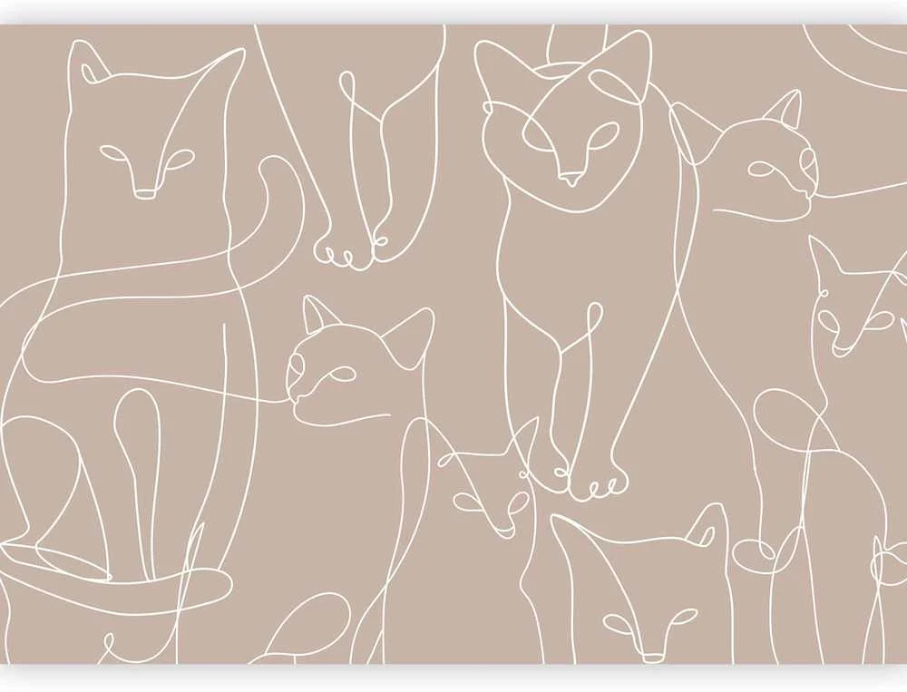 Artgeist Fototapetas - Cat lineart - minimalist sketches of baltas cats on beige background