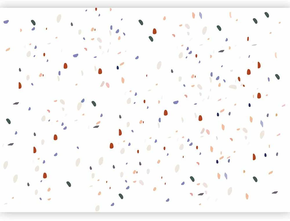 Artgeist Fototapetas - Classic Terrazzo on Baltas Background