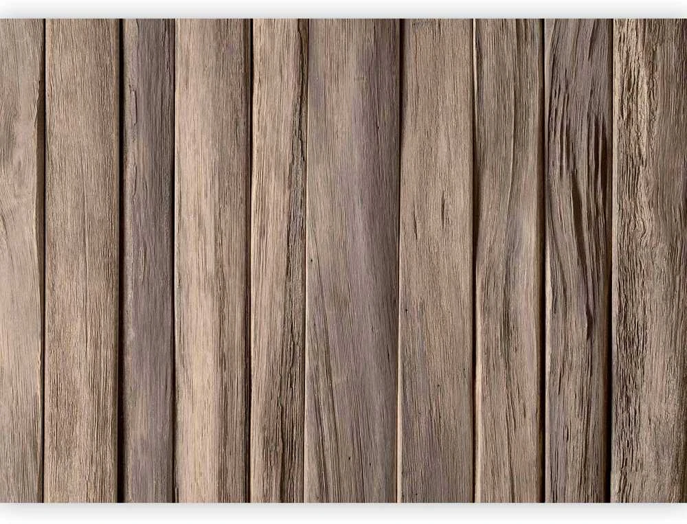 Artgeist Fototapetas - Classic Wood