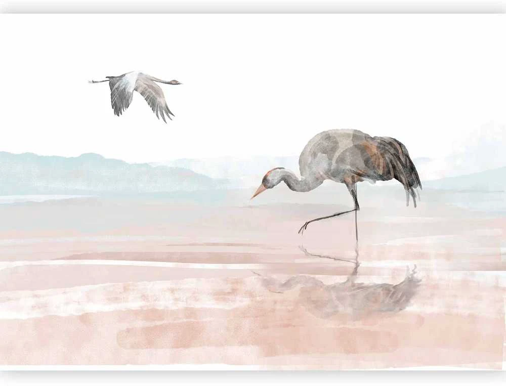 Artgeist Fototapetas - Cranes Over the Water