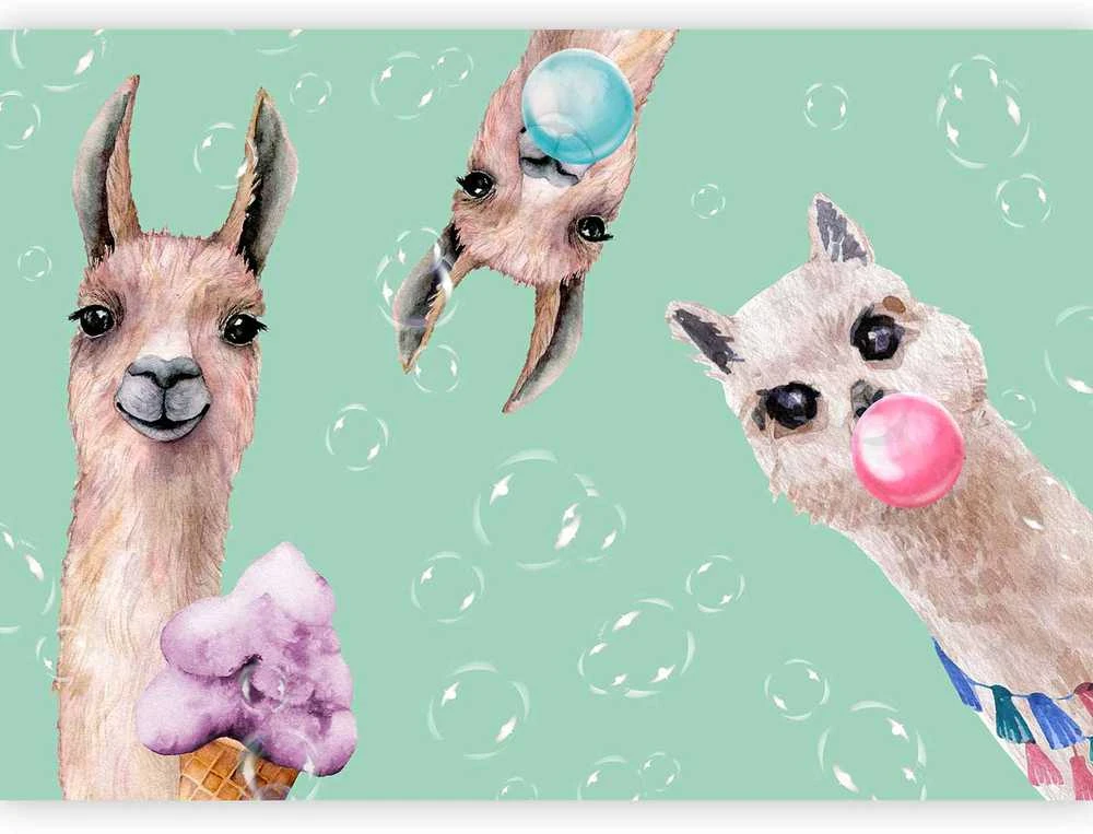 Artgeist Fototapetas - Crazy Llamas