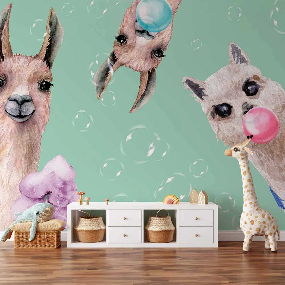 Artgeist Fototapetas - Crazy Llamas