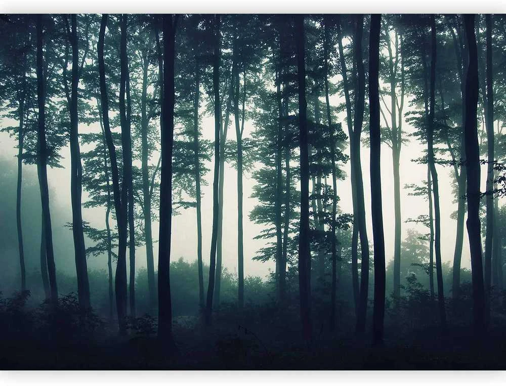 Artgeist Fototapetas - Dark Forest
