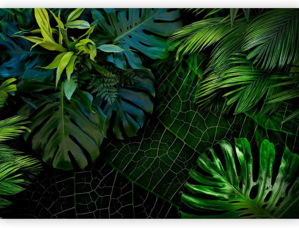 Artgeist Fototapetas - Dark Jungle